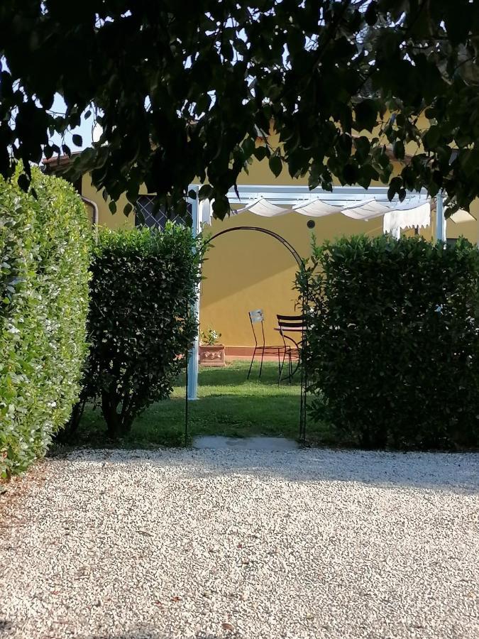 Villa Il Nido Lucca Exterior foto