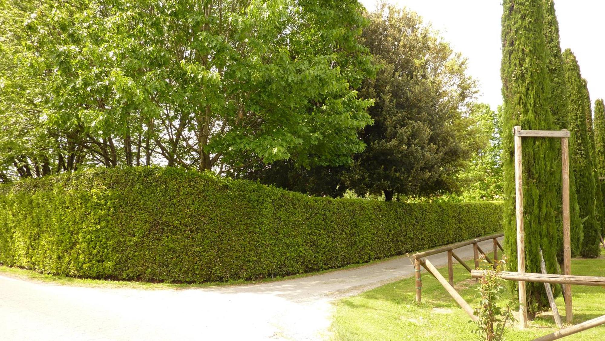Villa Il Nido Lucca Exterior foto