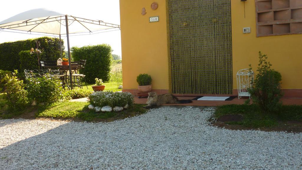 Villa Il Nido Lucca Exterior foto